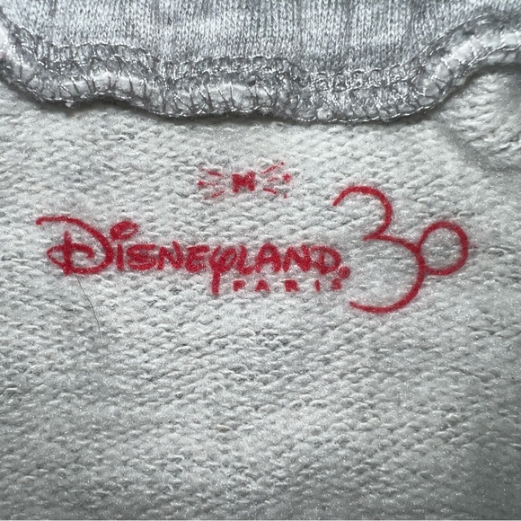 Euro Disney Paris 1992 Retro Remix Grey Blue Striped Sweatpants Sz Medium Mickey - Picture 4 of 7